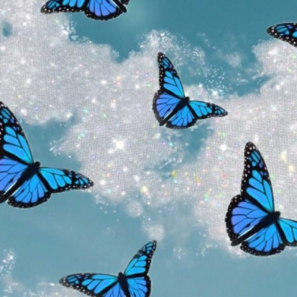 Meet your Posher, Maddie - Picture 1 of 1